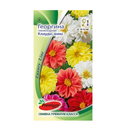 Георгина Клауди пионовидная  0_2г_10