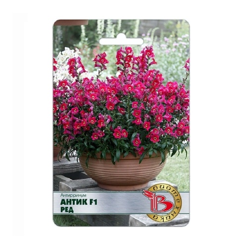 Антирринум Антик F1 Ред  20шт_5