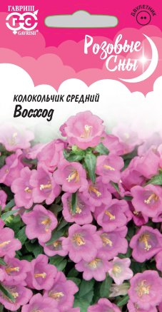 Колокольчик средний Восход_Розовые сны  0_1гр_10