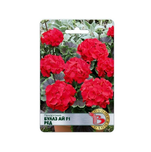 Пеларгония Буллз Ай F1 Ред  5шт_5_10