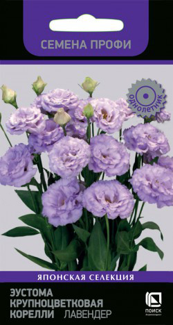 Эустома Корелли Лавендер крупноцветковая  5шт_10