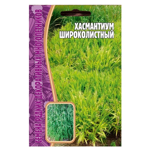 Хасмантиум Широколистный  25шт_10