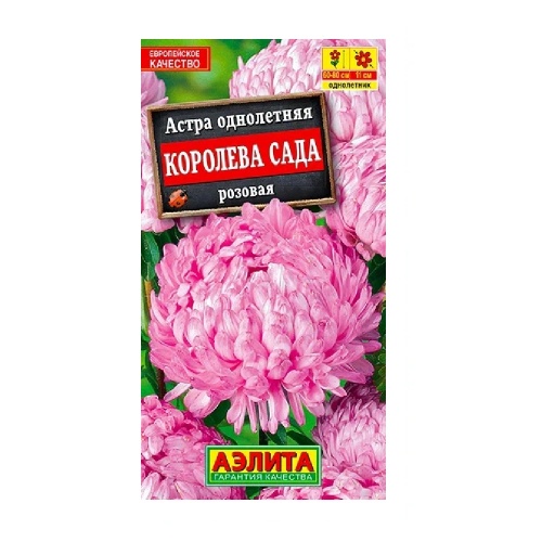 Астра Королева сада розовая  0_2гр_10