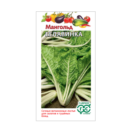 Мангольд Белавинка  2гр_10