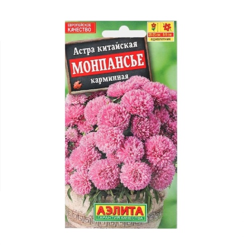 Астра Монпансье карминная  0_2гр_10