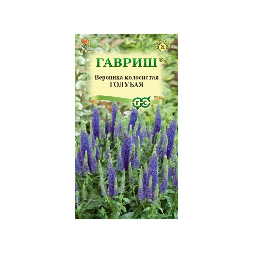Вероника колосковая_голубая  0_02гр_10