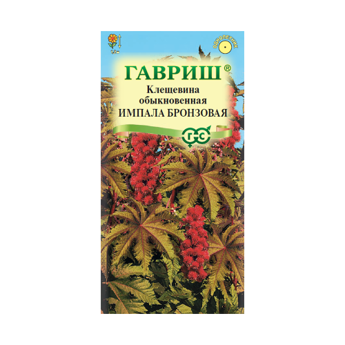 Клещевина Импала бронзовая  5шт_10