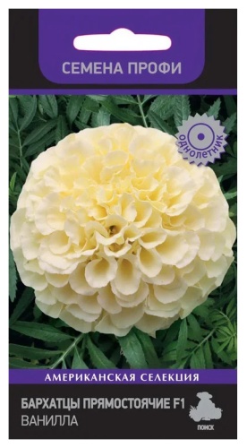 Бархатцы Ванилла прямостоячие F1  10шт_10