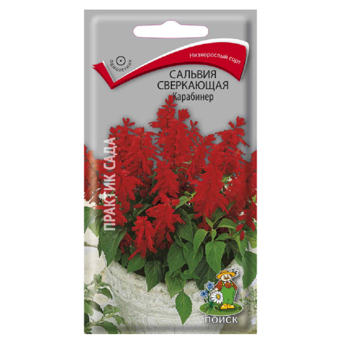 Сальвия Сверкающая Карабинер  0_1гр_10