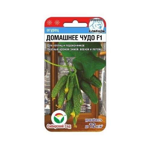 Огурец Домашнее чудо F1  7шт_10