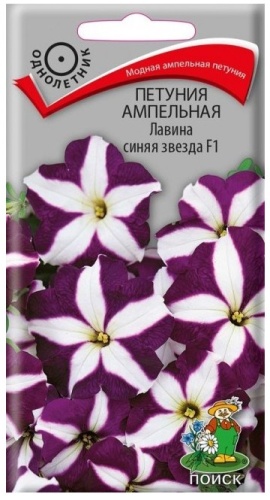 Петуния Лавина синяя звезда F1 ампельная  10шт_10
