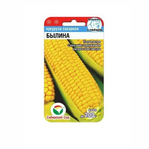 Кукуруза Былина  6шт_10