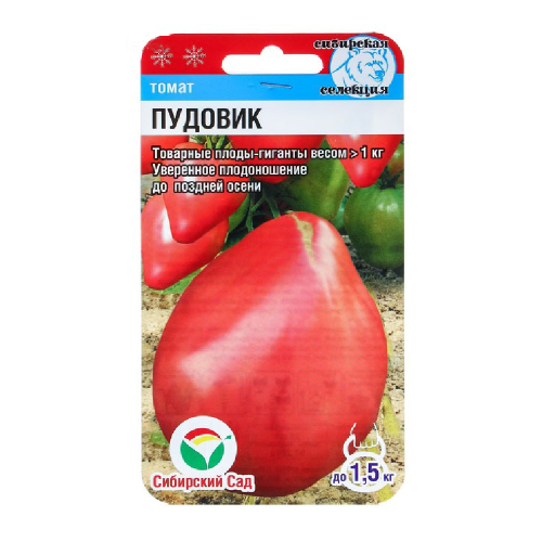 Томат Пудовик  20шт_10