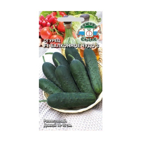 Огурец Балконное чудо 3 F1  0_2гр_10