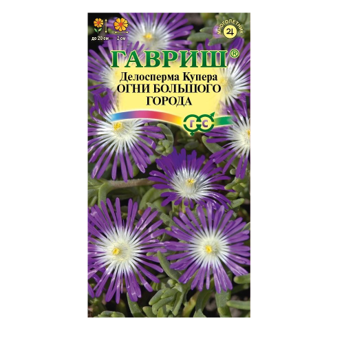 Делосперма Огни большого города 7шт_10