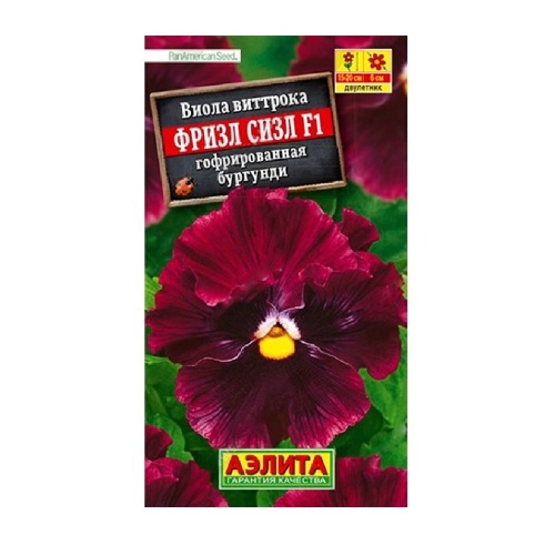 Виола Фризл Сизл F1 бургунди гофрированная 5шт_10