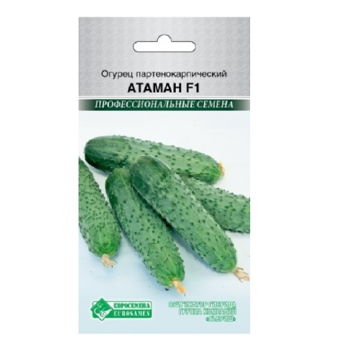 Огурец Атаман F1 партенокарпик  5шт_10