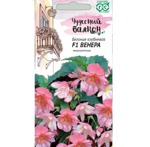 Бегония Венера ампельная F1_Чудесный балкон  4шт_10