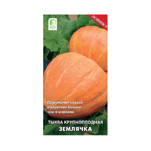 Тыква Землячка крупноплодная  10шт_10