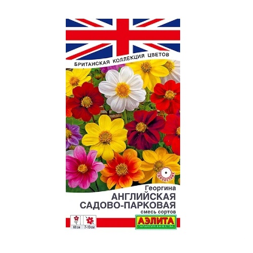 Георгина Английская садово-парковая смесь сортов  0_3гр_10