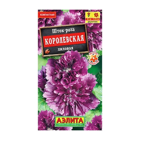 Шток-роза Королевская лиловая 10шт _10