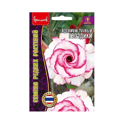 Адениум Гвоздики тучный  3шт_10