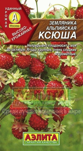 Земляника Ксюша альпийская F1 0_04-0_4гр  _10