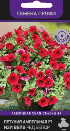Петуния Изи Вейв Ред Велюр F1 ампельная  5шт_10