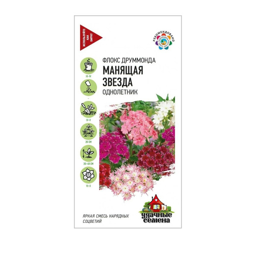 Флокс друммонда Манящая звезда_Удачные семена  0_1гр_10