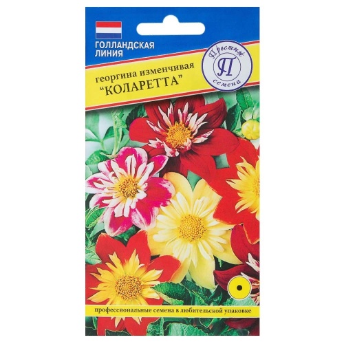 Георгина Коларетта изменчивая  12шт_10