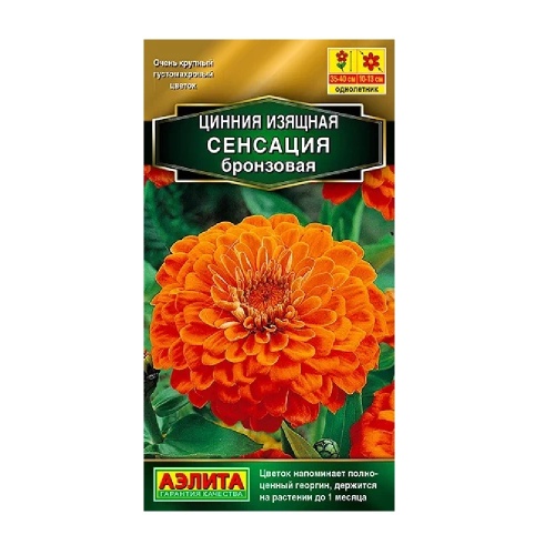 Цинния Сенсация бронзовая  12шт _10