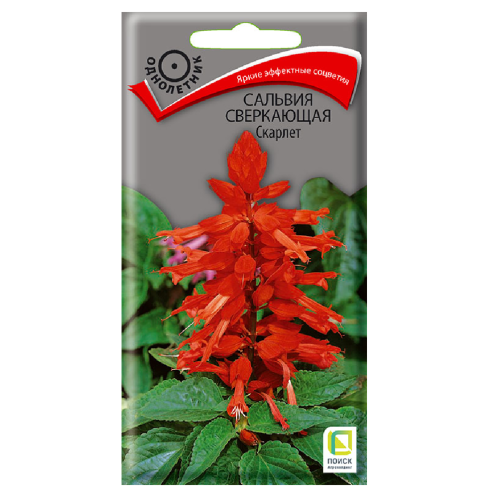 Сальвия Сверкающая Скарлет  0_3гр_10