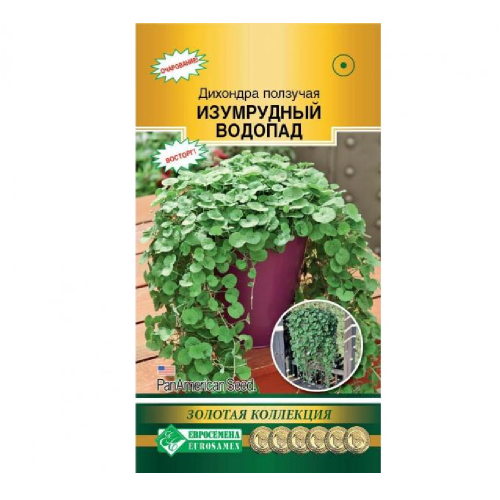 Дихондра Изумрудный Водопад ползучая  3шт_10
