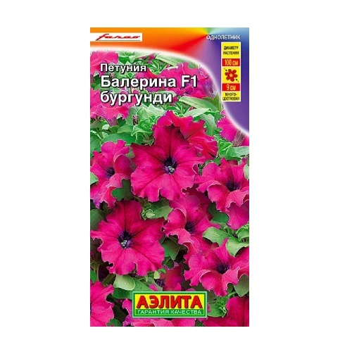 Петуния Балерина бургунди крупноцветковая F1  7шт_10