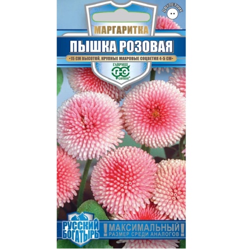 Маргаритка Пышка розовая_Русский богатырь  4шт_10