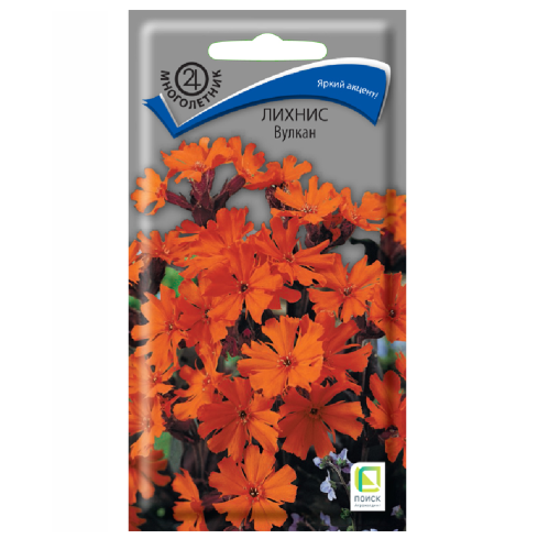 Лихнис Вулкан  0_1гр_10