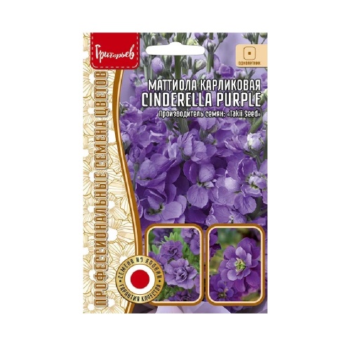 Маттиола Cinderella Purple карликовая махровая 5шт _10