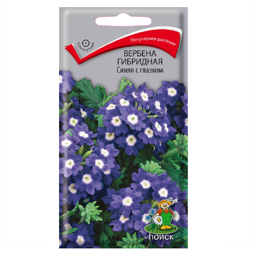 Вербена Синяя с глазком гибридная  0_1гр_10