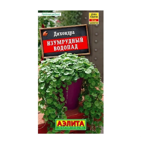Дихондра Изумрудный водопад 3шт  _10
