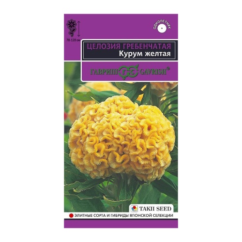 Целозия Курум желтая гребенчатая  8шт_10