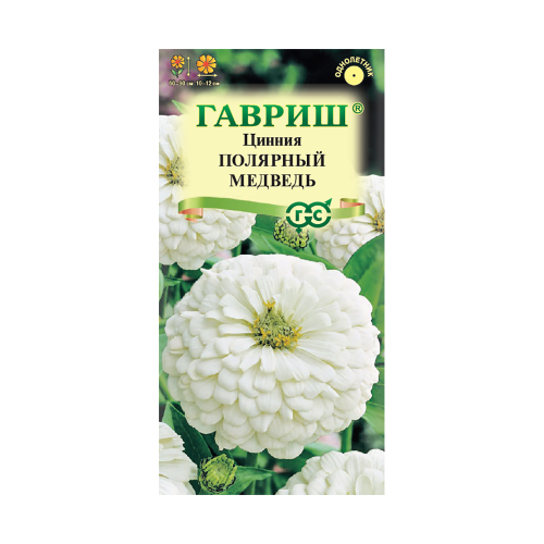 Цинния Полярный медведь  0_3гр_10