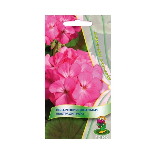 Пеларгония зональная Люстра Дип Роуз  5шт_10