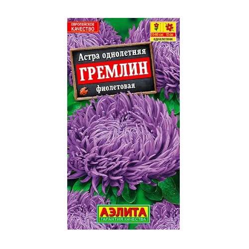 Астра Гремлин фиолетовая  0_2гр_10