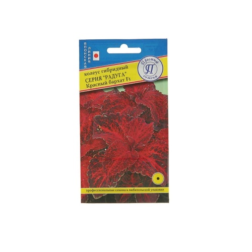 Колеус Радуга Красный бархат F1  10шт_10_50