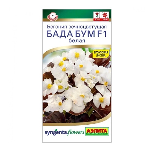 Бегония Бада бум F1 белая 5шт_10