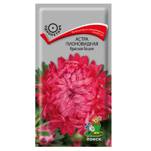 Астра пионовидная Красная башня  0_3гр_10