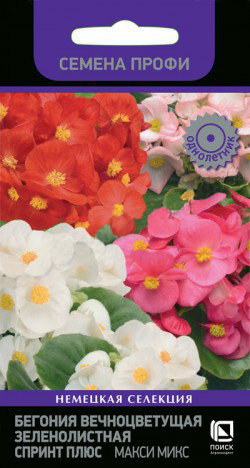 Бегония Спринт Плюс Макси Микс вечноцветущая зеленолистная 10шт - 15шт_10