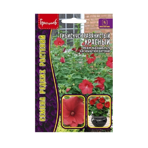 Гибискус Травянистый Красный  5шт_10