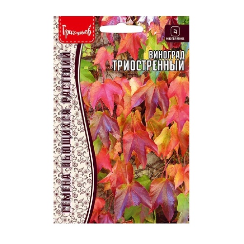 Виноград Триостренный 0_2 г _10