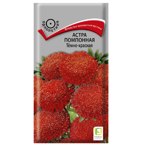 Астра помпонная Темно-красная  0_3гр_10